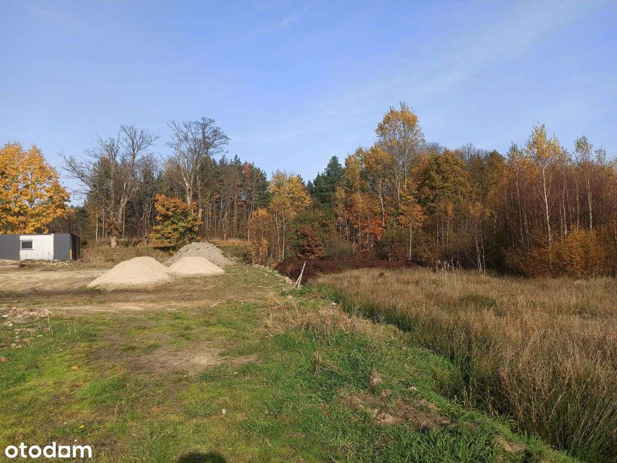 Leśniewo - działka 2369m2 z WZ z 2024r. - Pełny obrazek: 4/6