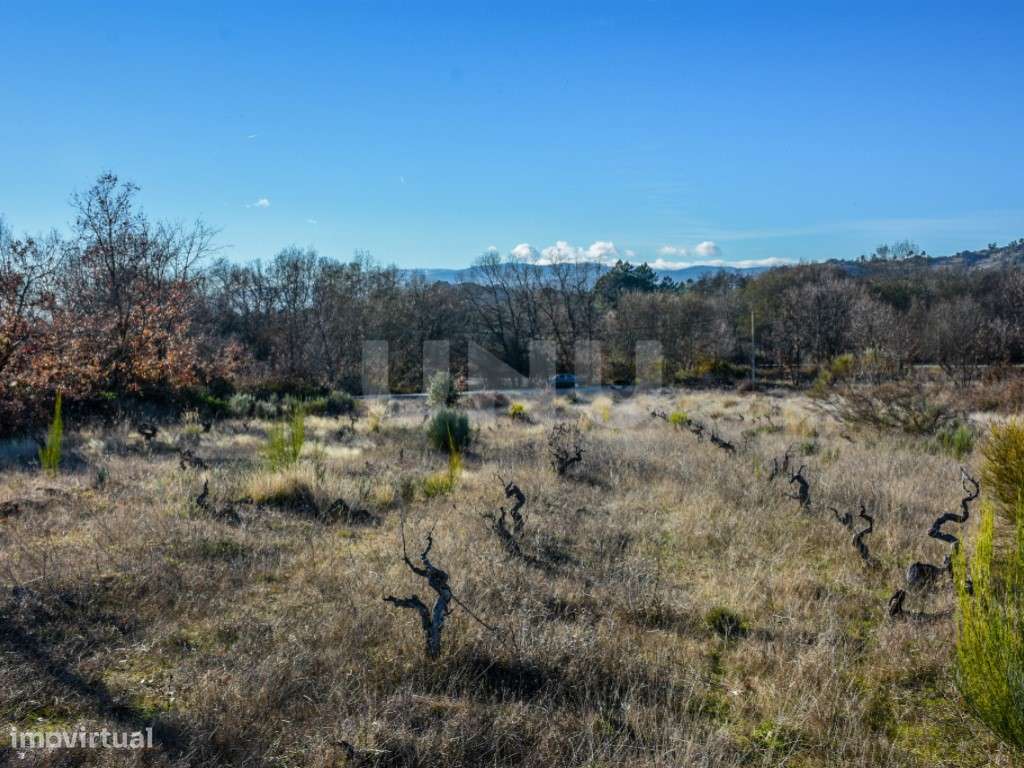 Terreno rústico para venda na freguesia de Inguias (Belmonte). - Grande imagem: 2/8