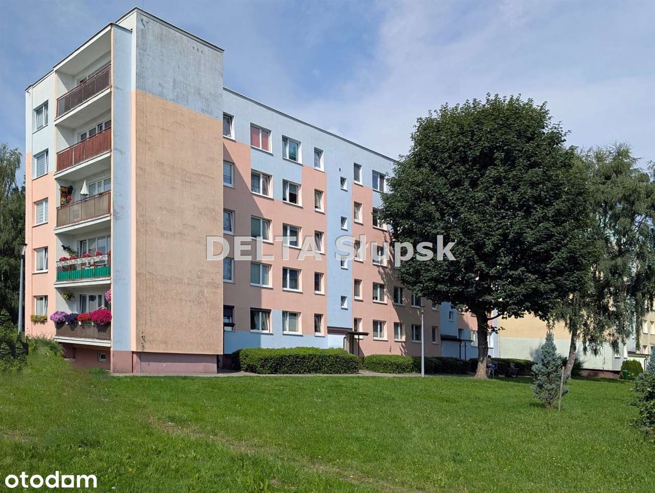 ⭐ Dmowskiego|3 pokoje|rozkładowe|parter| Loggia
