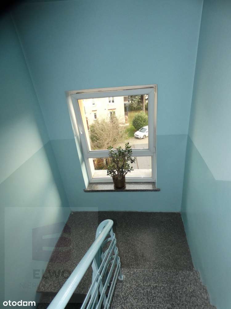 Ładne 2 pokoje z miejscem parkingowym-12