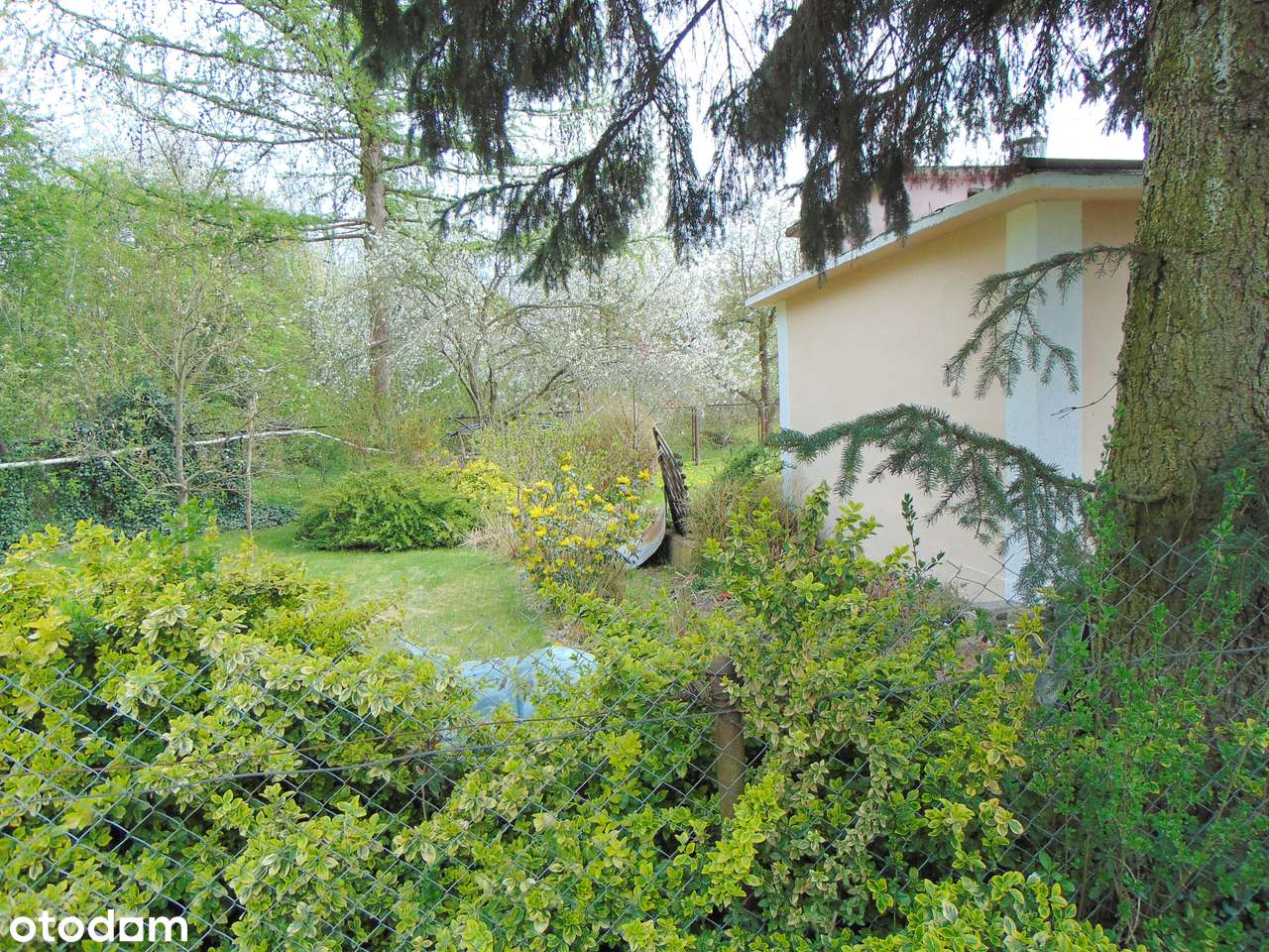 DZIAŁKA OGRODOWA ROD „MŁODOŚĆ-3