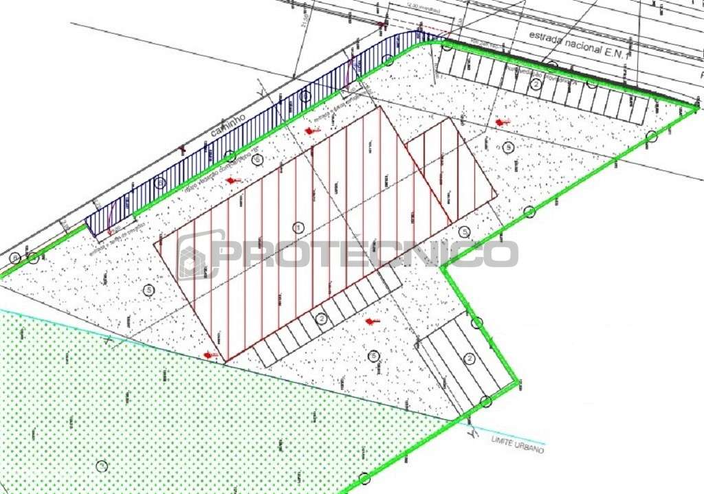 Terreno c/ 10.000m2 – Albergaria-a-Velha - Grande imagem: 4/5