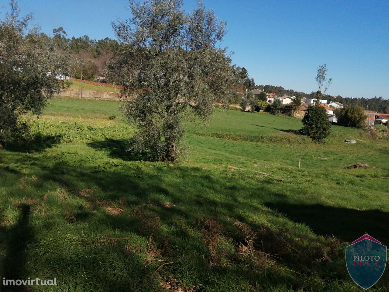 Quinta  Venda em Sátão,Sátão