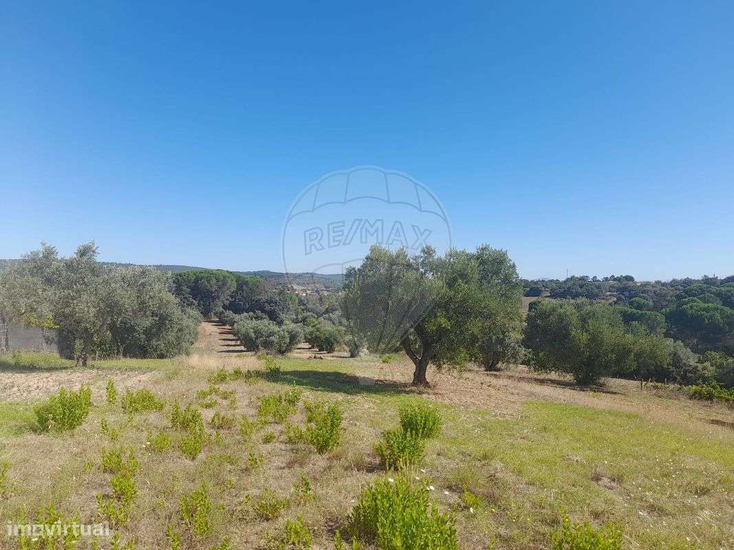 Terreno  para venda - Grande imagem: 4/8