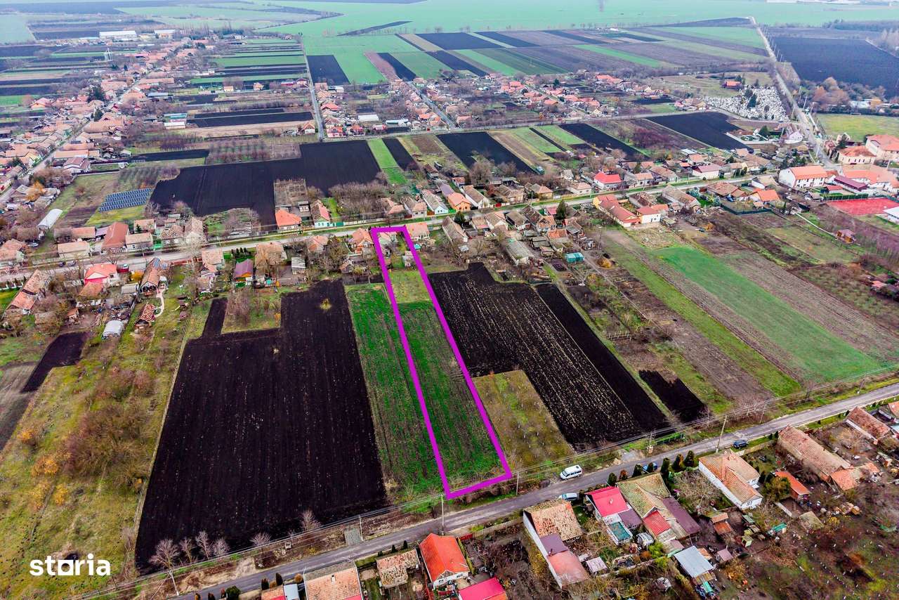 Casă în Dorobanți cu livadă + curte 2500 mp - Imagine principală: 3/12