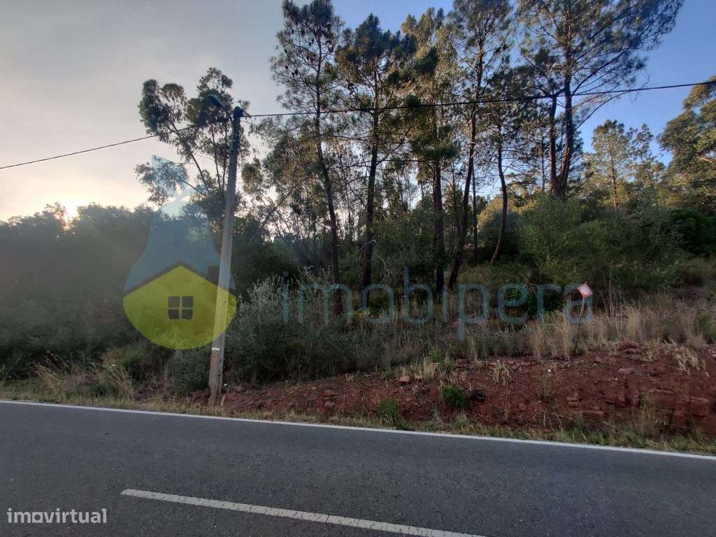 Terreno rústico com 18.360 m2, situado na zona da Aldeia Vale Fuzei... - Grande imagem: 3/4
