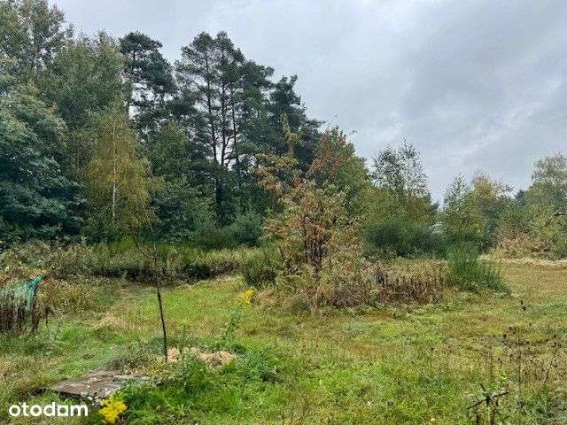 Działka pod lasem-0