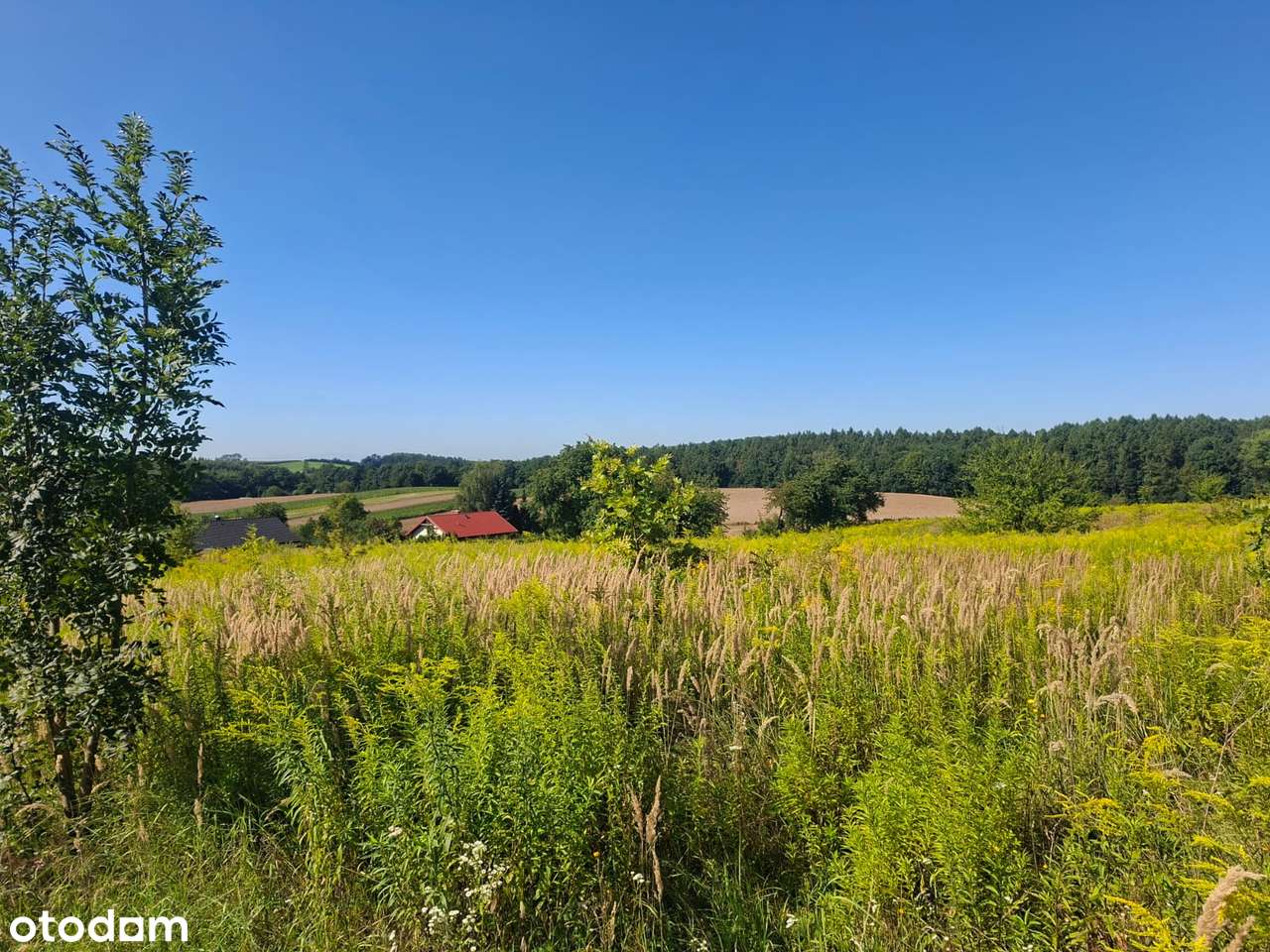 Widokowe działki budowlane - Zagórzyce Dworskie k/Michałowic-2
