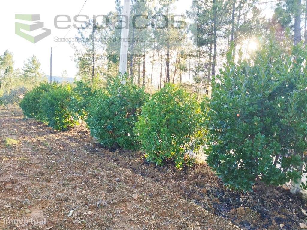 Terreno - Grande imagem: 5/11