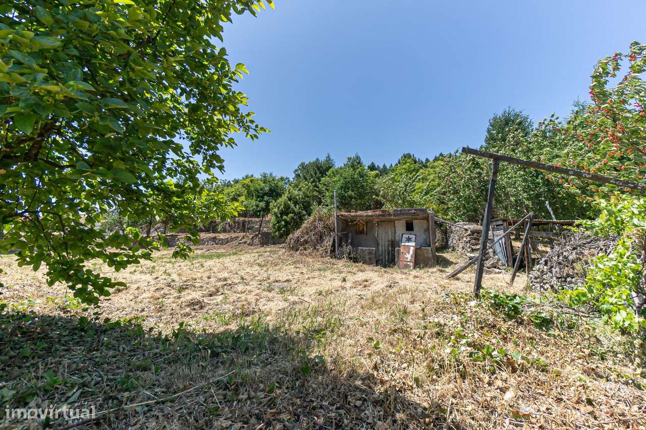 Quinta 7.438 m² em Lamego, Moradia em Pedra, Investimento de Futuro-14