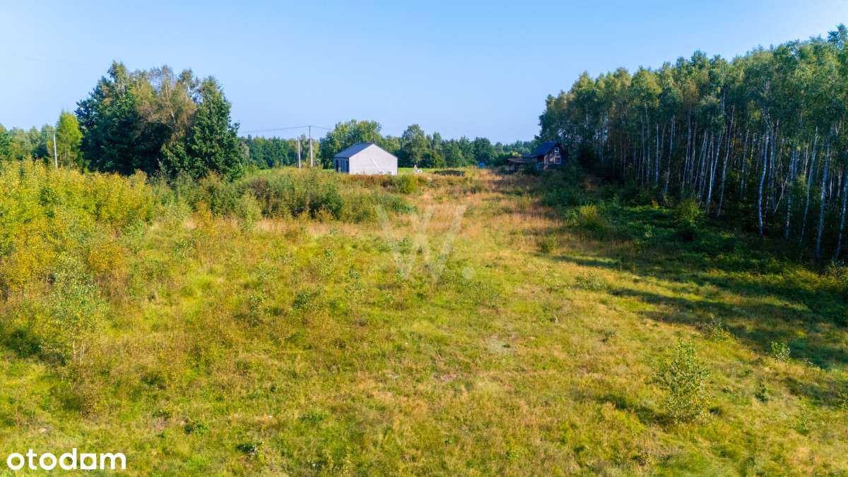 4 działki letniskowe, warunki zabudowy w trakcie - Pełny obrazek: 5/14