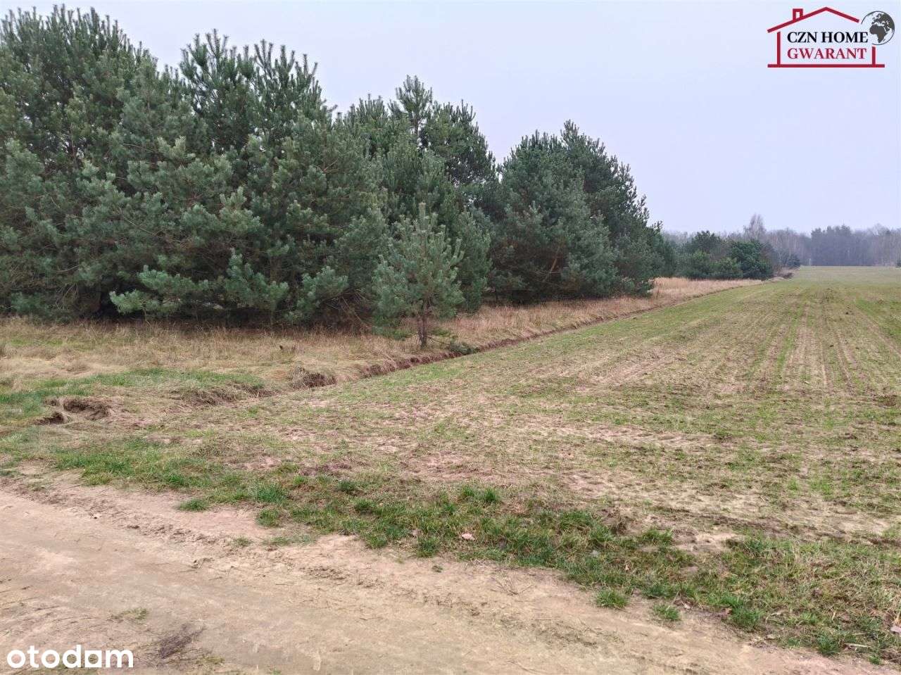 Działka rolno budowlana pod inwestycję. - Pełny obrazek: 5/14
