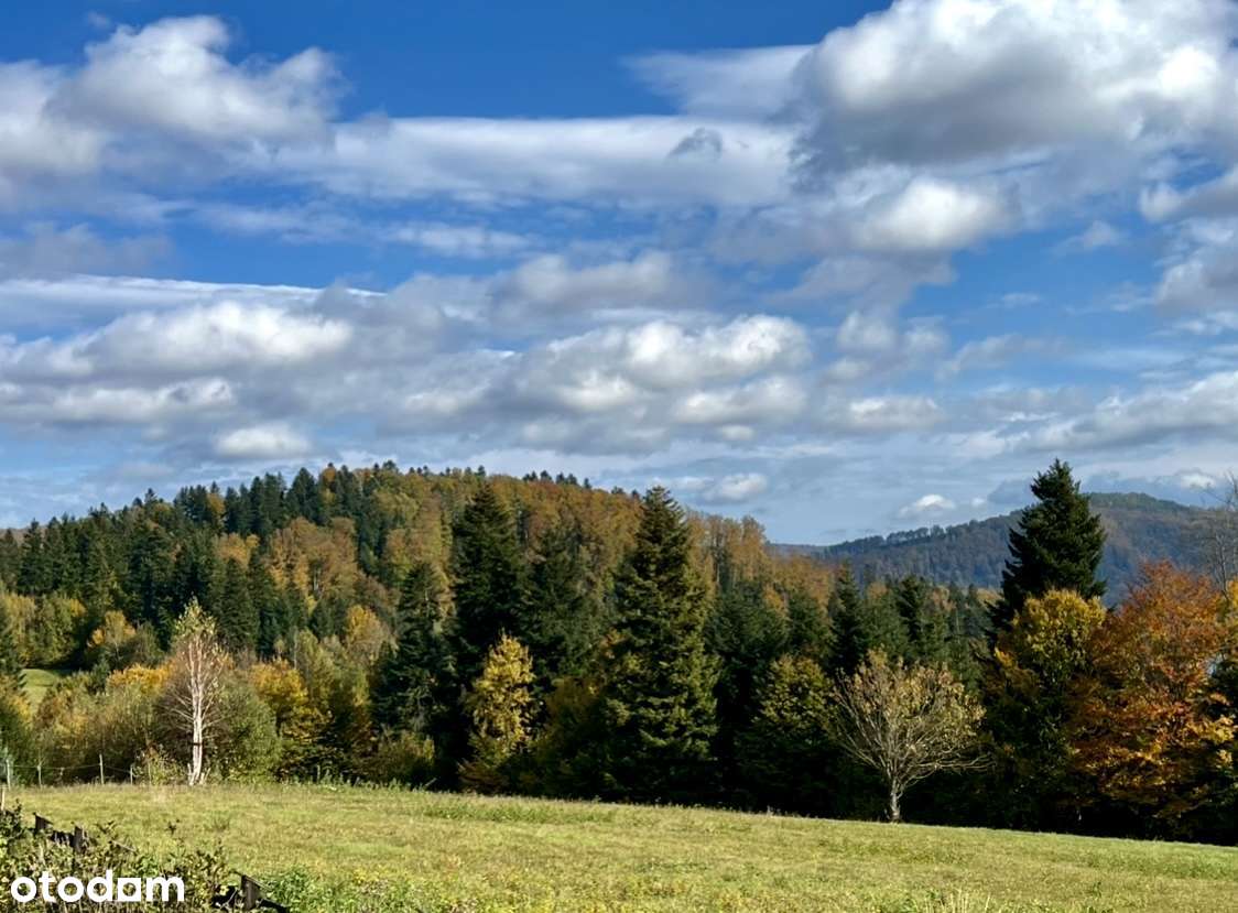 Piękna z pozwoleniem na budowę domu działka w sercu Bieszczad - Pełny obrazek: 4/11