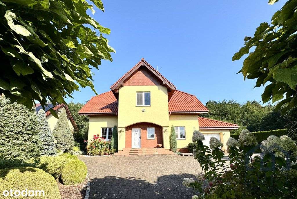 Dom pod lasem - Krosinko - komfort, wygoda, spokój-3