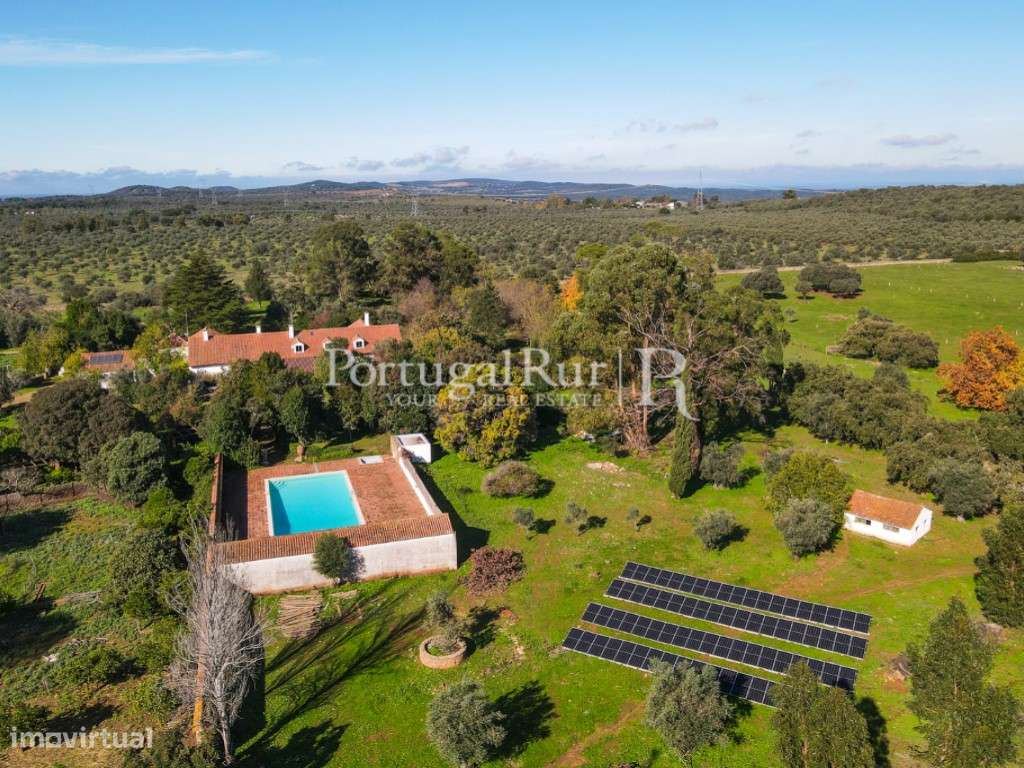 Quinta para turismo e cavalos com 6 ha e casa colonial T11 - Grande imagem: 5/60