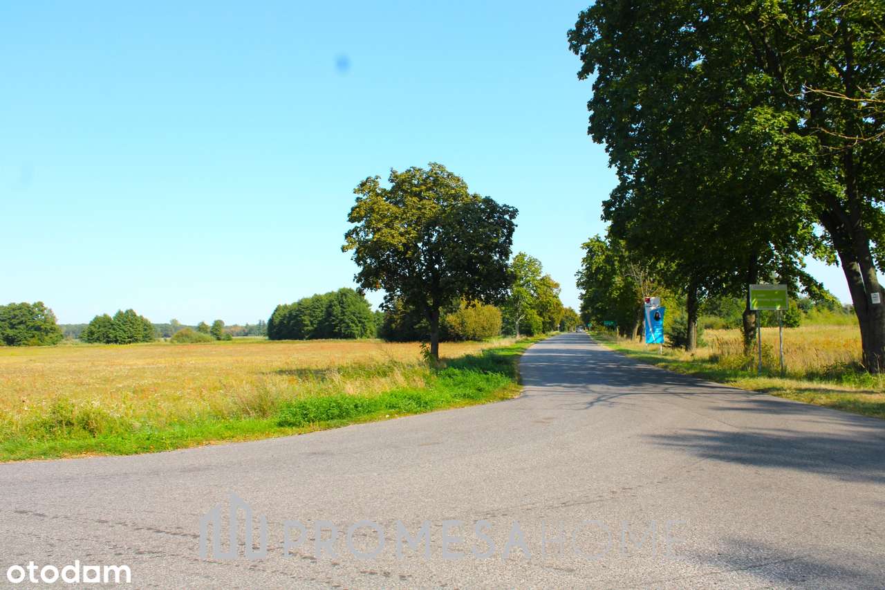 autostrada A2 węzeł Dąbie dojazd asfaltowy działka 23200 m2 SUPER CENA - Pełny obrazek: 5/6