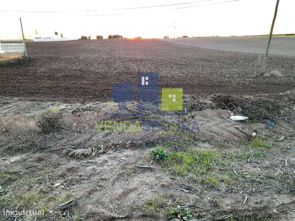 Terreno Rústico em Peroguarda com 2,8 ha | Potencial de Construção - Grande imagem: 2/7