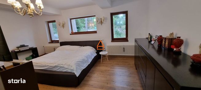Casa / Vila - 740 mp - 11.000 mp teren - Proprietate Unica - Bucium-18