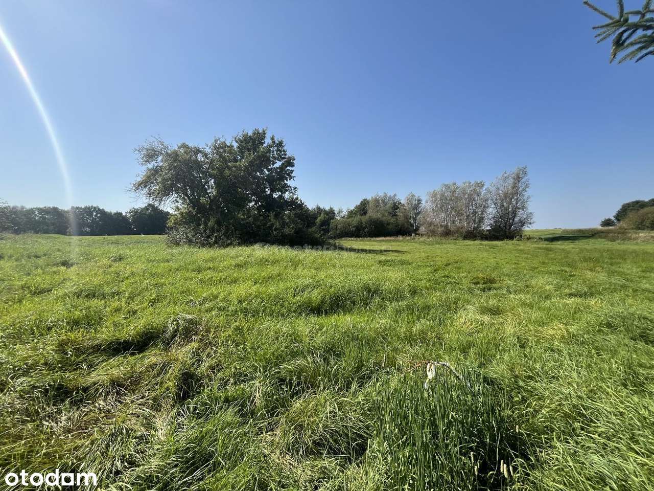 Działka na sprzedaż, Włodarka - Pełny obrazek: 5/9