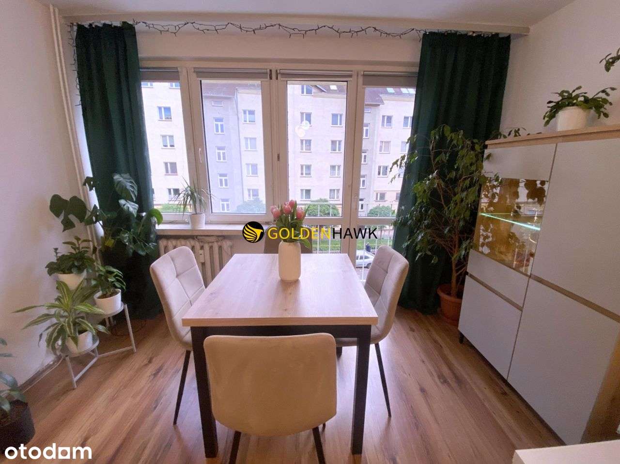 2 pokoje 47 m² z nową kuchnią - Niemcewicza Szczec - Pełny obrazek: 3/18