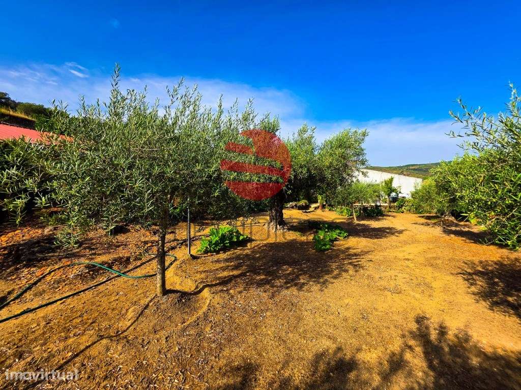 MORADIA T2 C/ GARAGEM E TERRENO-11