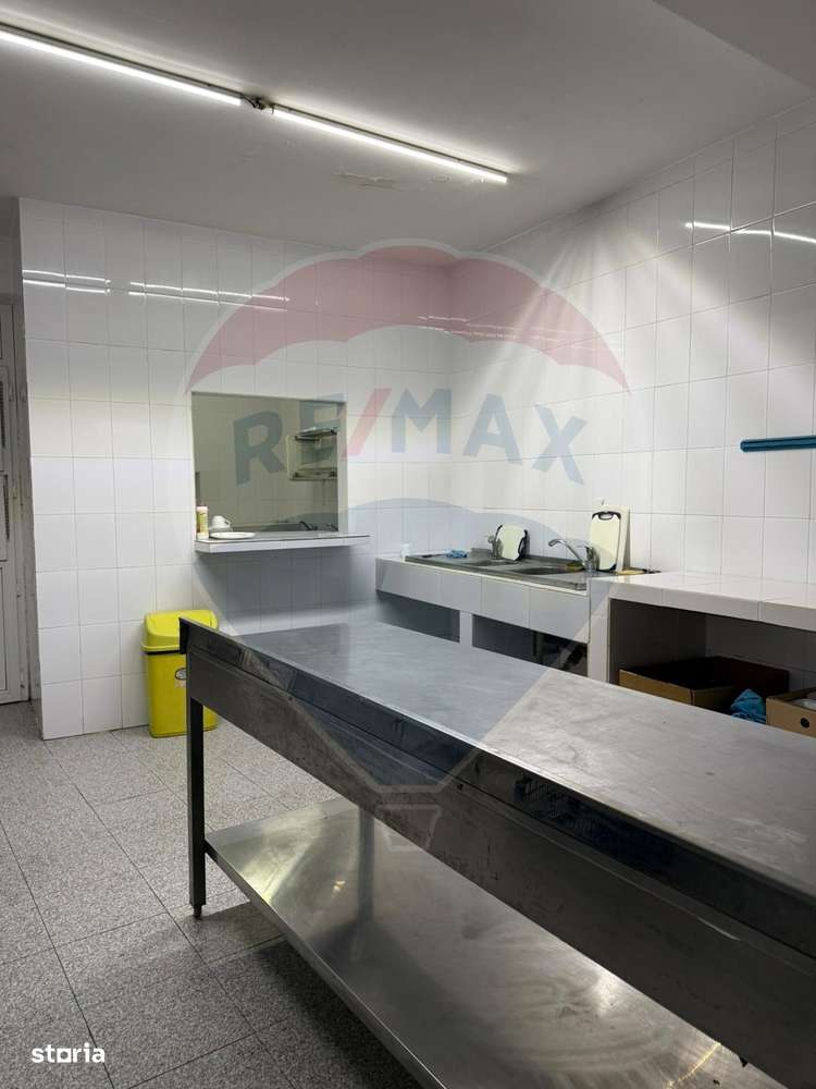 Casă / Vilă cu 8 camere de vânzare în zona Central-3