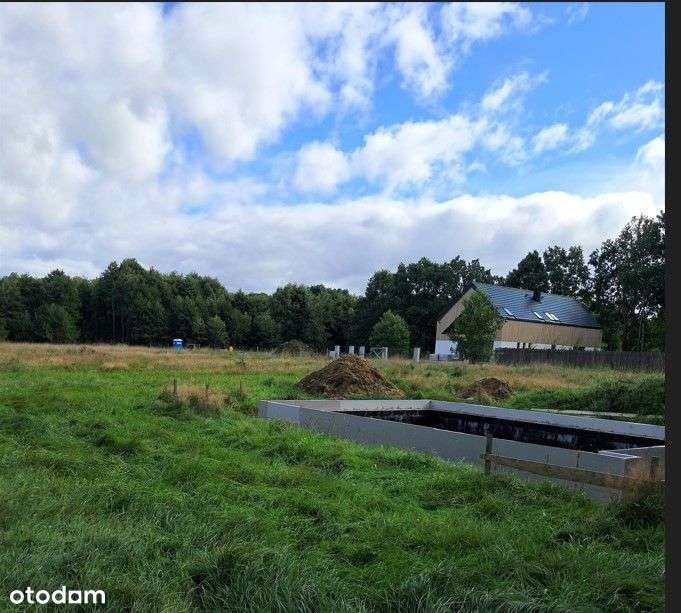 Magiczne Sasino - Pełny obrazek: 5/5