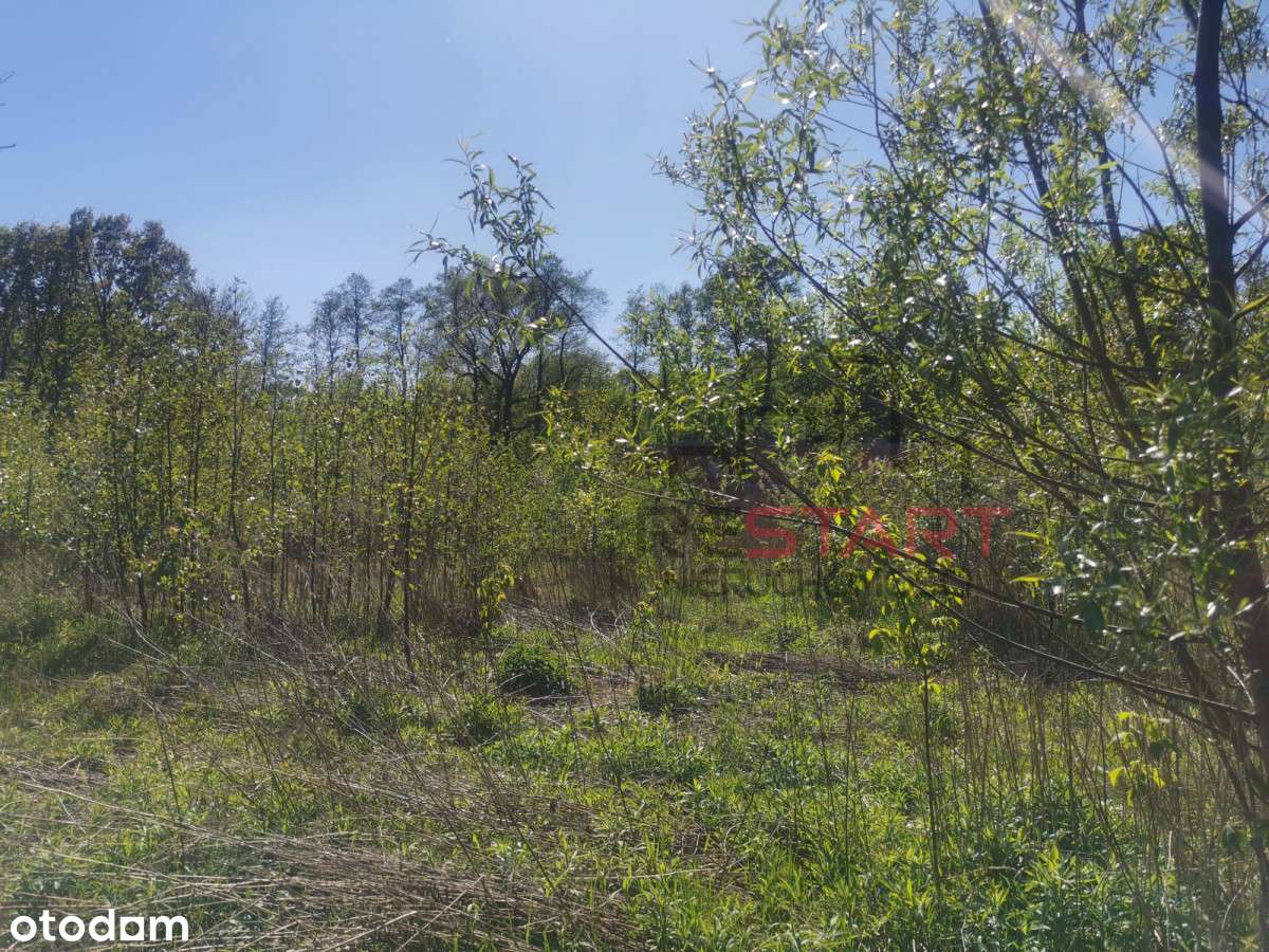 Tylko u nas! Działka budowlana w Grodzisku. - Pełny obrazek: 5/9