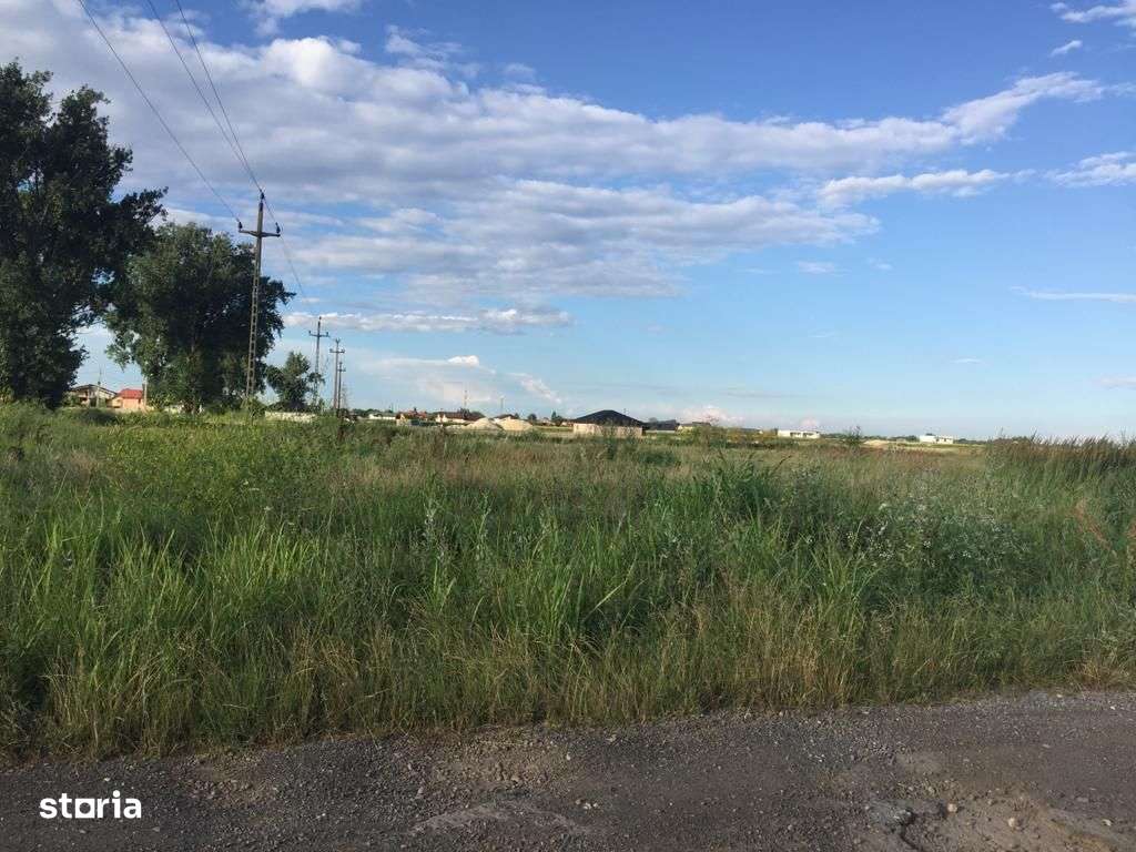 Teren intravilan in comuna Domnesti - sat Teghes - Imagine principală: 4/10