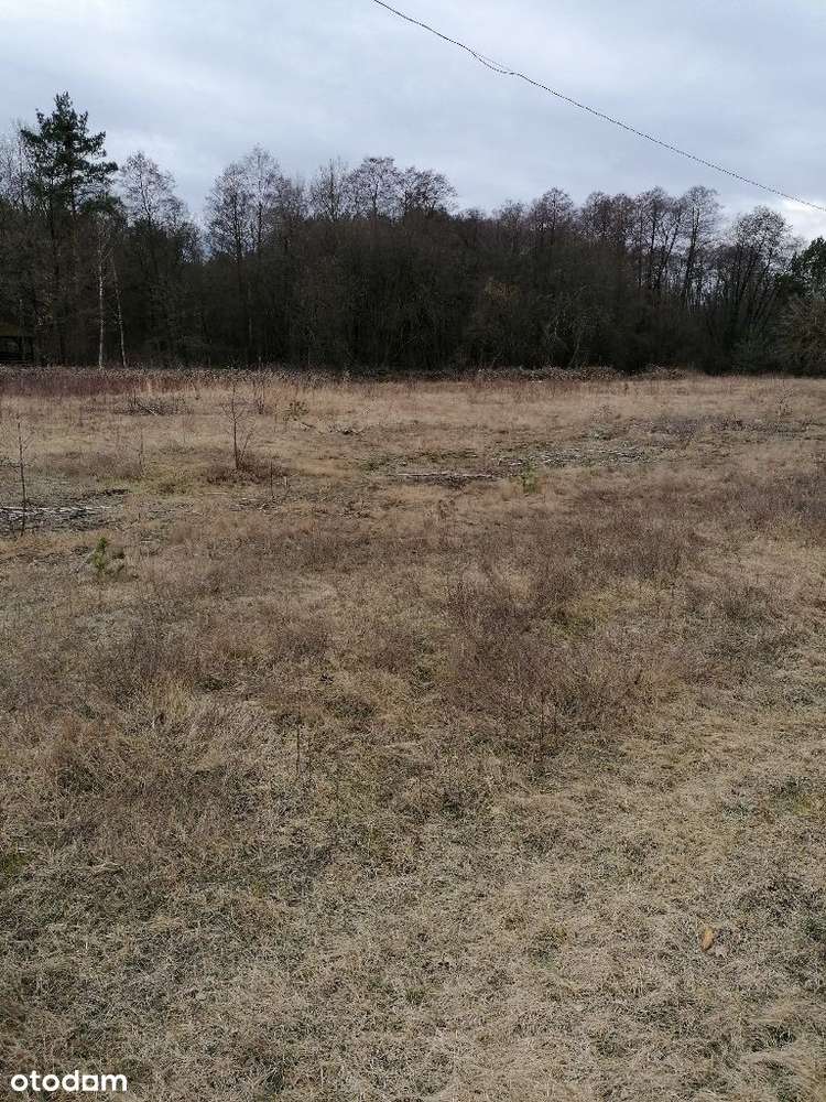 Działka w Teofilowie - Pełny obrazek: 2/5