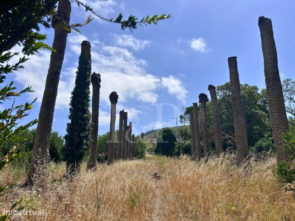 Quinta senhorial do séc. XVIII com capela e jardins em Torres Vedras-11