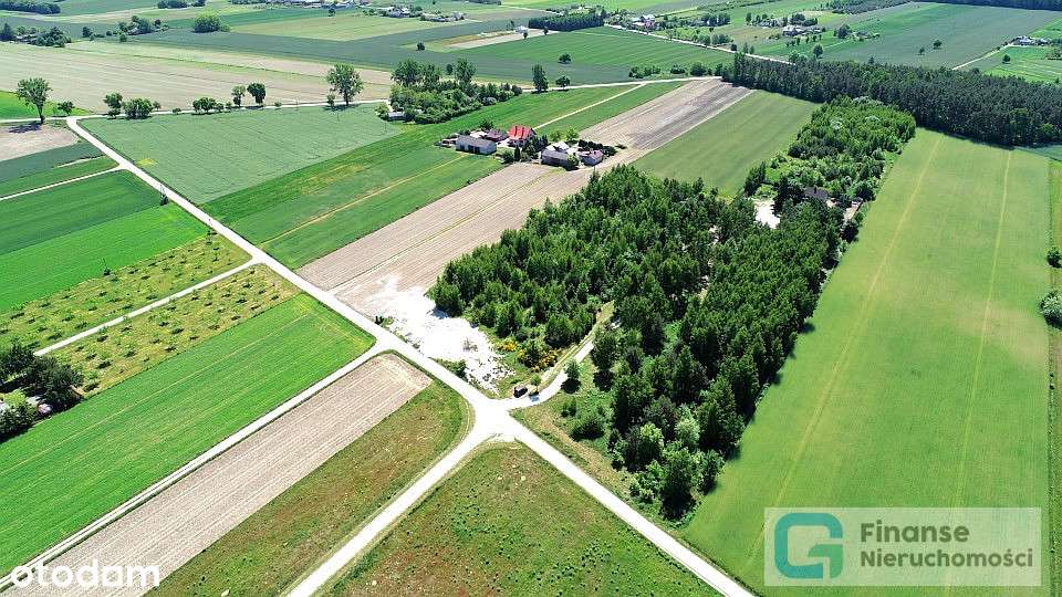 Działka rolna z możliwością zabudowy, Kołacin - Pełny obrazek: 4/16