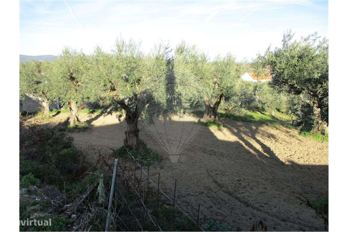 Quinta T0 para venda - Grande imagem: 5/8