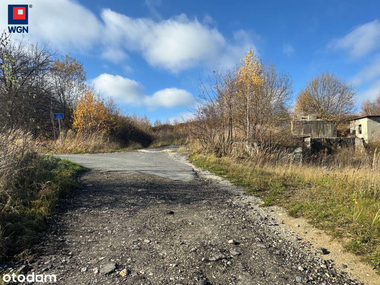 Teren 1,55 ha przy drodze krajowej nr 33 na wynajem - Żelazno. - Pełny obrazek: 4/20