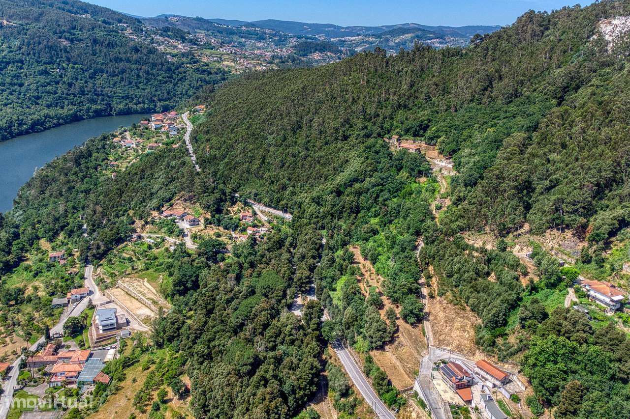 QUINTA NO VALE DO DOURO - 2 CASAS EM PEDRA, 11 HECTARES DE TERRENO-17