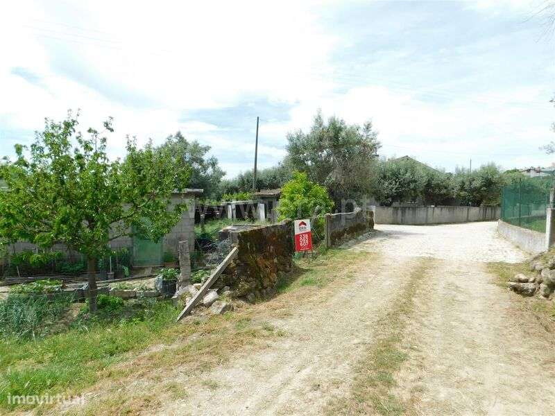 Terreno Rústico / Seia, Pinhanços - Grande imagem: 5/7