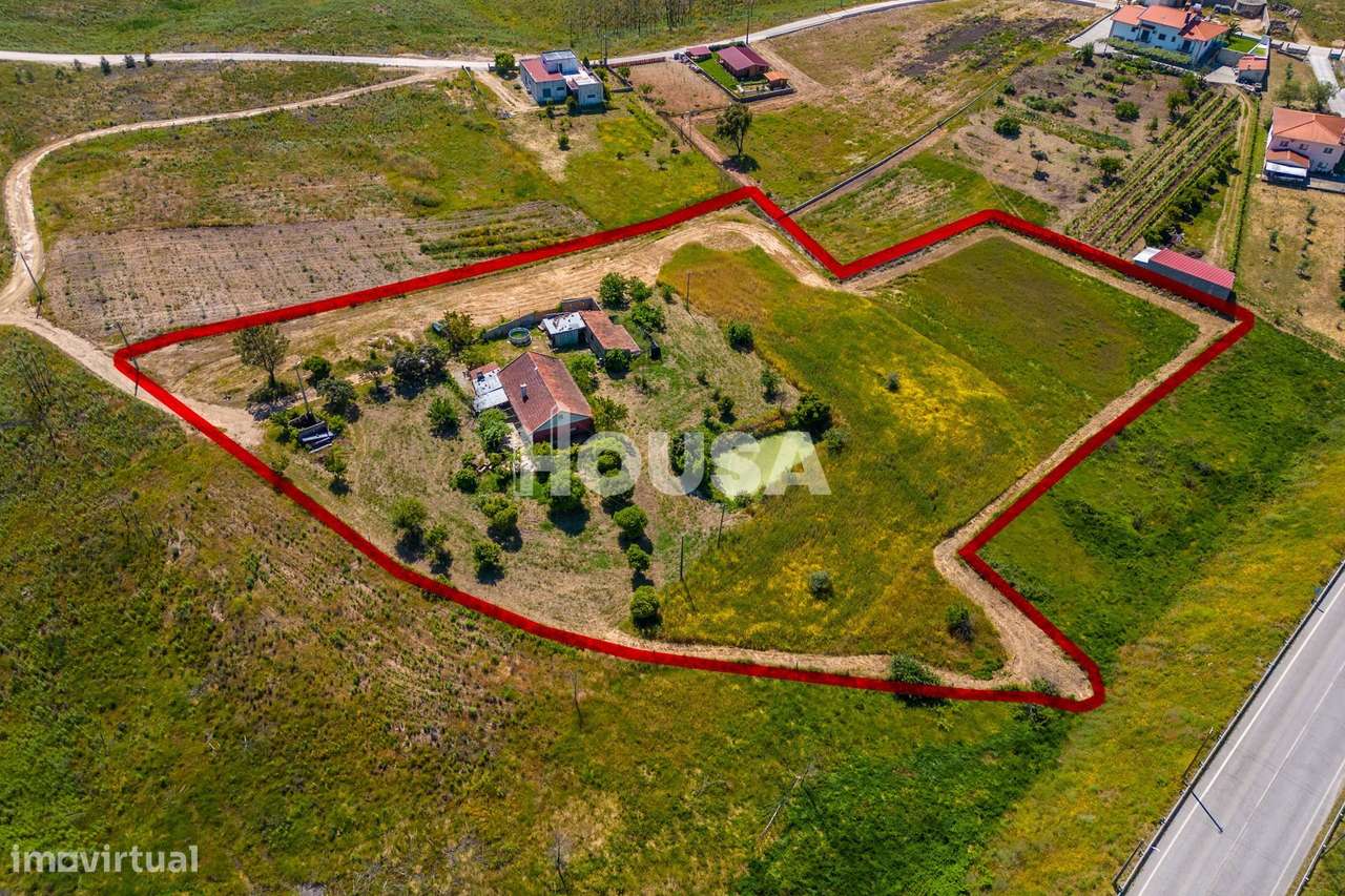 Moradia T3 com 1 hectare de terreno em Proença a Nova - Grande imagem: 1/60