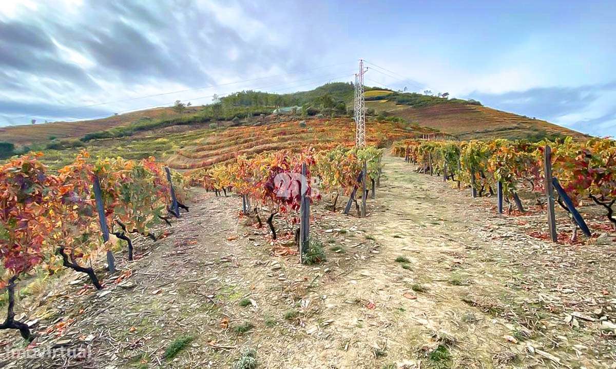 Terreno 9023m² - Vila Seca - Grande imagem: 2/18