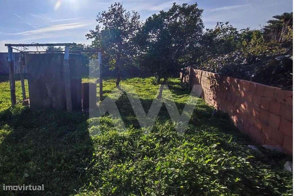 Lote de Terreno Urbano com 1276m2- Entre Cacia e Paço - Grande imagem: 5/8