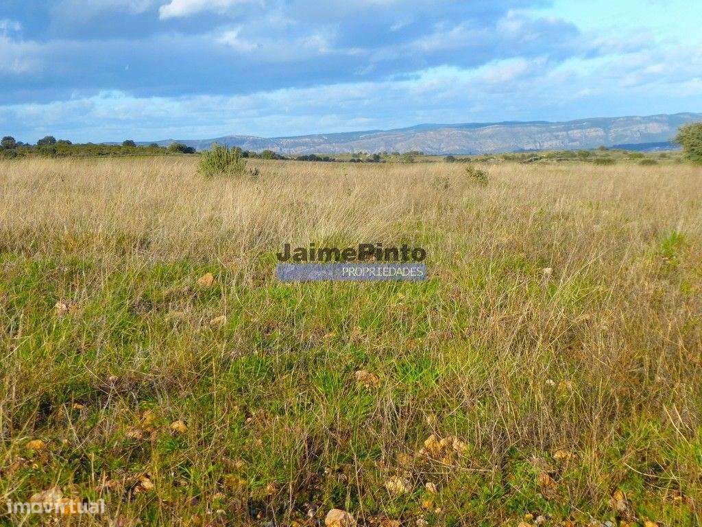 Terreno 210 000m2 p/ novas plantações, F. C. Rodrigo. Portugal, Gua... - Grande imagem: 3/8