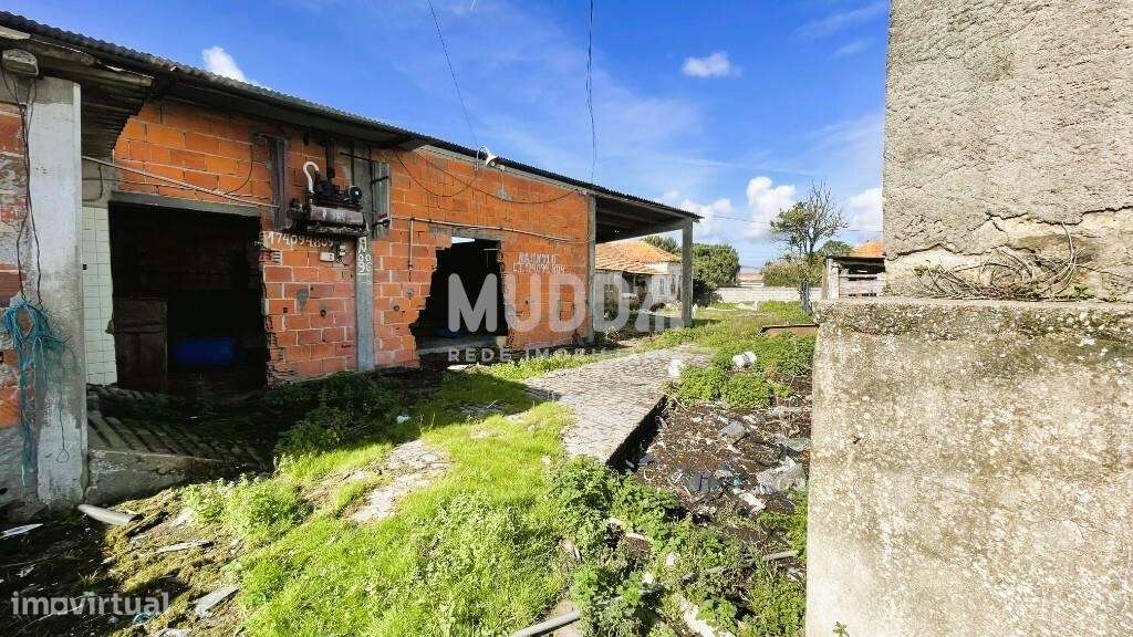 Terreno Urbano para construção em altura, Pardelhas, Murtosa - Grande imagem: 3/6