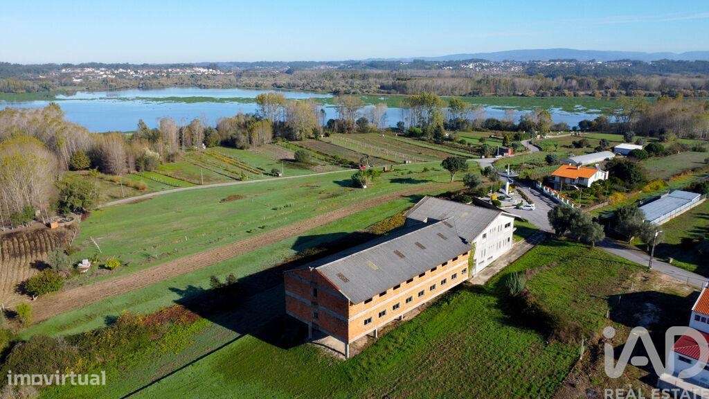 Prédio em Fermentelos de 2821,00 m2 - Grande imagem: 5/26