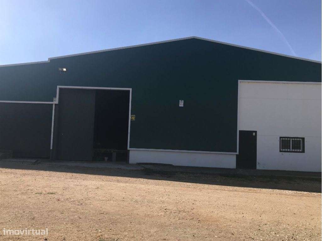 HERDADE AGRÍCOLA EM ESTREMOZ | ALENTEJO-0