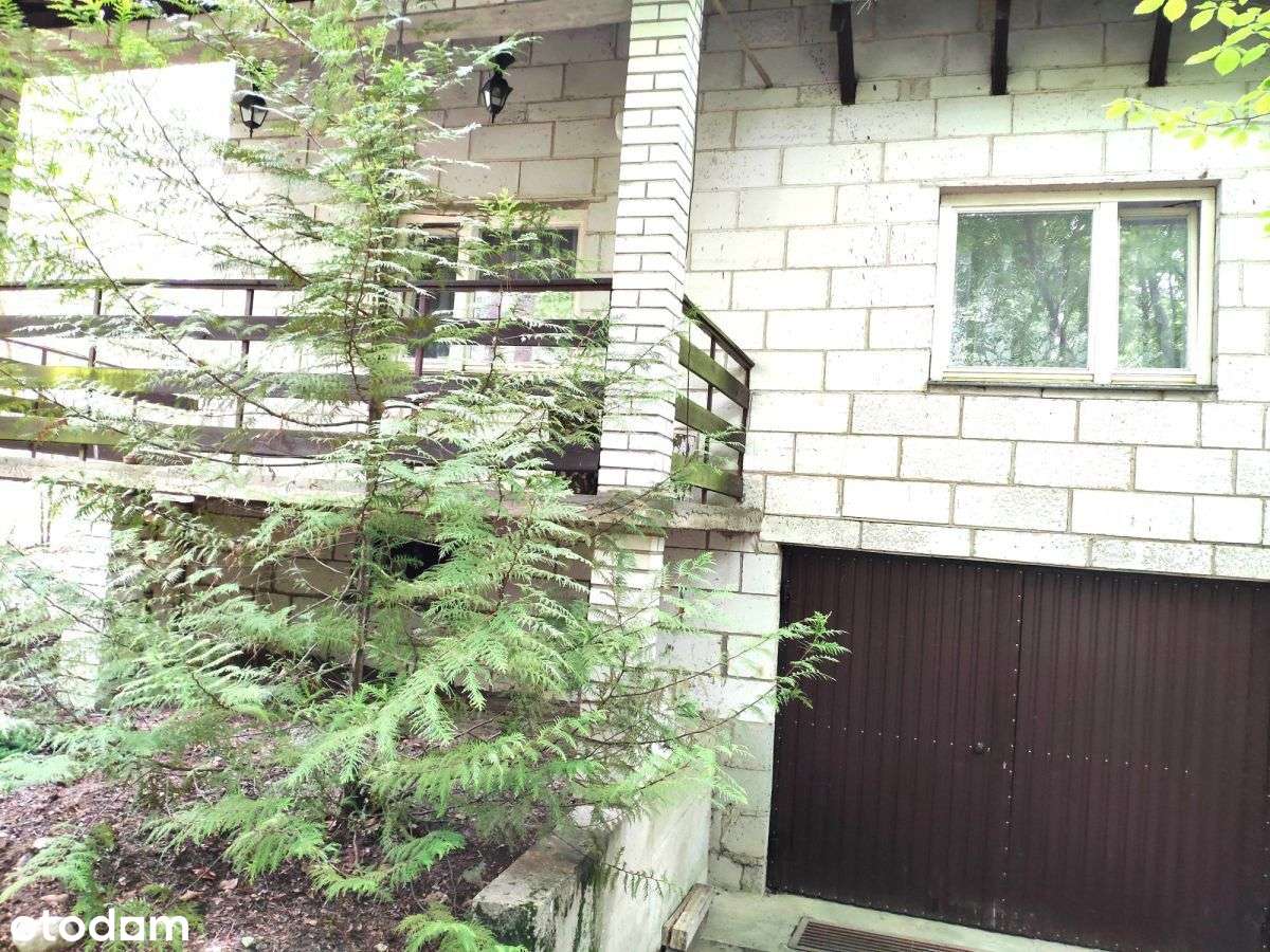 987102 - Pełny obrazek: 5/17