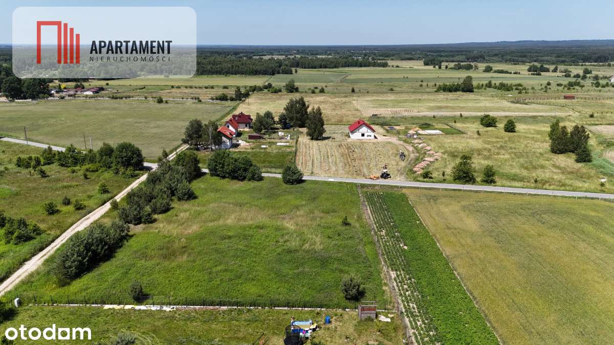 Działka w leśnym otoczeniu w Złotowie gm. Zawonia - Pełny obrazek: 5/10