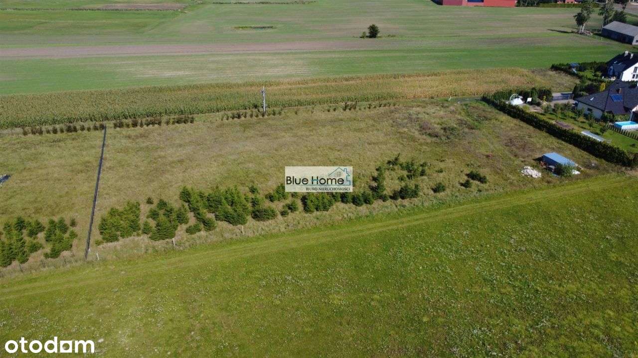 Gostkowo Działki budowlane z Wz - Pełny obrazek: 4/8