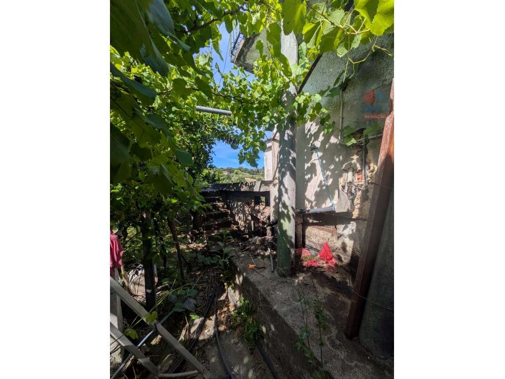 QUINTA COM MORADIA T3 PISCINA TERRENO E ANEXOS-46