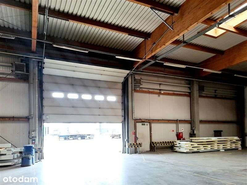 Magazyn produkcja Hutnicza Gdynia 1280m2 - Pełny obrazek: 5/7