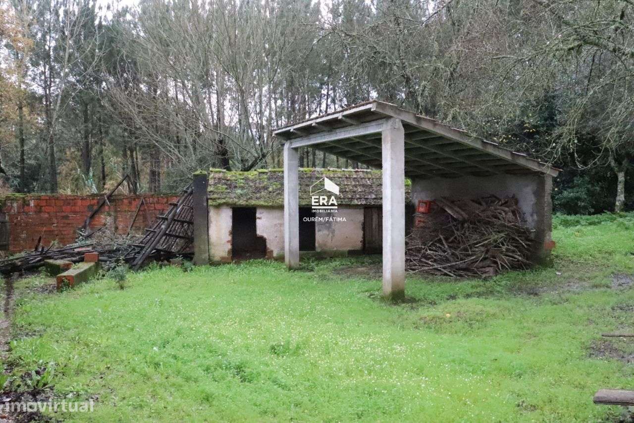 Moradia T3 em Maçãs de Dona Maria! - Grande imagem: 4/13