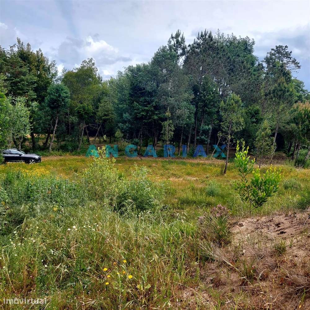 ANG1121 - Ruína para Venda em Cantanhede, Coimbra - Grande imagem: 2/19